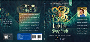 Sách - Linh Hồn Song Sinh, Có duyên ắt sẽ gặp có nợ sẽ thành đôi