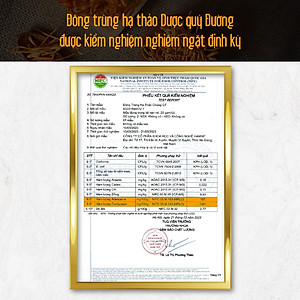 Đông trùng hạ thảo bán tự nhiên Dược Quý Đường hộp 20g - Hỗ trợ bổ phế, ích can thận, bồi bổ cơ thể