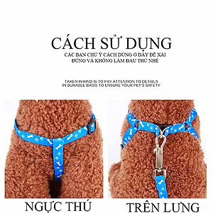 Dây dắt nhiều họa tiết cho chó mèo Genyo