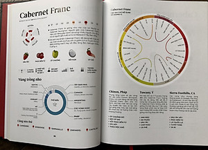 Wine Folly (toàn tập)