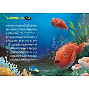 Sách Khám Phá Thế Giới Động Vật Kì Thú : Thế Giới Của Các Thiên Thần Dễ Thương