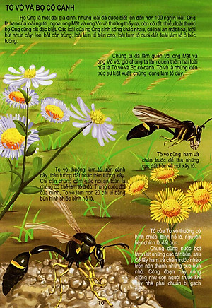 Sách Thế Giới Động Vật Kì Thú - Vườn Côn Trùng