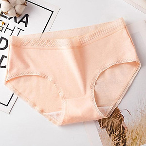 Combo 4 Quần lót nữ Cotton thời trang  QL 8135