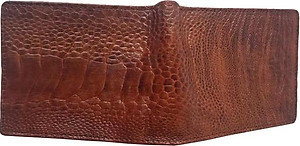 Ví Nam Da Đà ĐIểu BIGGBEN BG1