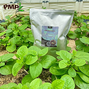 Acid Humic Canada PMP 01Kg