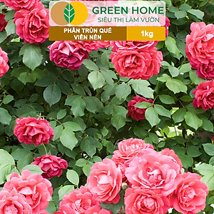 Phân Trùn Quế Viên Nén Greenhome, Lavamix, Bao 1kg, Dinh Dưỡng Hữu Cơ, Không Mùi, Tốt Cho Lan, Bonsai, Rau, Cây Ăn Trái