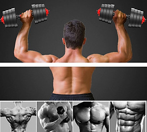 Tạ tập tay đẩy kết hợp,  tạ nam nữ tập gym tập thon tay Giá tốt Hàng Chuẩn(Chọn Lực Nặng Của Tạ 20kg ,30kg, 40kg Tùy chọn)