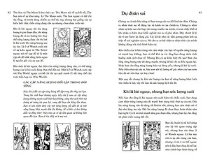 Học Tarot Cho Người Mới