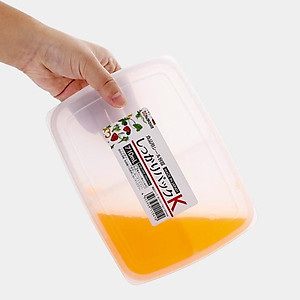 Hộp đựng thực phẩm Nakaya 600ml chia 4 ngăn tiện lợi - Nội địa Nhật