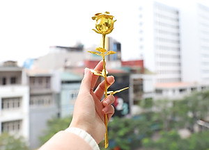 Quà tặng sinh nhật ý nghĩa: Bông hoa hồng mạ dát vàng cao cấp cho nữ