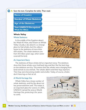 Global Stage Literacy Book And Language Book Level 4