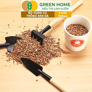 Dụng Cụ Làm Vườn Greenhome, 3 Món Gồm Xẻng Xúc Đất, Cào , Mini, Cán Gỗ, Tiện Lợi, Dễ Sử Dụng, Trồng Sen Đá, Tiểu Cảnh