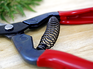 Kéo tỉa cành cao cấp Nhật Bản  Chikamasa T-55SC chiều dài lưỡi 48mm - lưỡi thép không gỉ chất lượng cao siêu bén - Cắt ngọt, không bám dính, liền sẹo nhanh