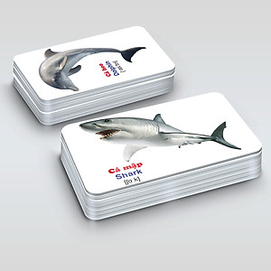 Bộ Thẻ học Thông minh - 416 Tấm Flashcards Tiếng Anh - 16 Chủ Đề Mới Nhất - Hàng Chính Hãng MINIIN