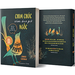Sách Chim Chóc Chưa Bao Giờ Ngốc (Giải Mã Bộ Não Thiên Tài Của Loài Chim)