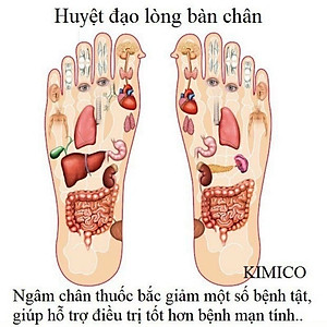 Hộp 50 miếng dán ngải cứu  thải độc chân
