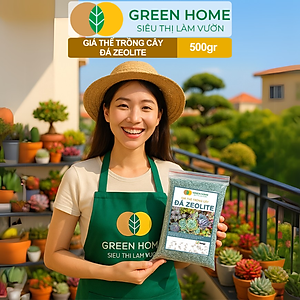 Đá Zeolite Greenhome, Bao 500GR, Giá Thể Trồng Bonsai, Xương Rồng, Đất Nền Hồ Thuỷ Sinh