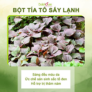 Bột Tía Tô sấy lạnh Dalahouse - Bổ phế phối, An thai, hỗ trợ giảm các triệu chứng cảm, ho, đau họng. Hỗ trợ điều trị GUT, đẹp da, trắng da