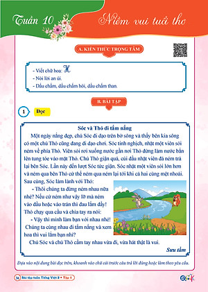 Combo Bài Tập Tuần và Đề Kiểm Tra Toán, Tiếng Việt Lớp 2 - Kết Nối Tri Thức Với Cuộc Sống