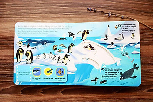 Sách Tương Tác - Sách Chuyển Động - First Explorers - Sea Creatures - Sinh Vật Biển