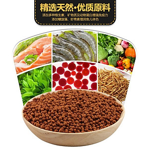 Thức ăn kích màu cho Rùa Nước hãng KAMA - Cám dinh dưỡng cho rùa nước - thức ăn rùa nước