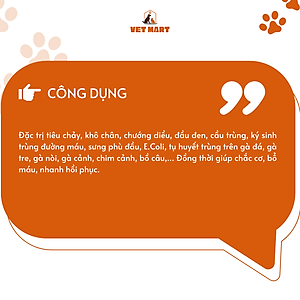 COMBO METRI TONIC B12 - Thuốc Hỗ Trợ Trị Tiêu Chảy, Tụ Huyết Trùng Trên Gà Đá, Chim Cảnh_Fivevet