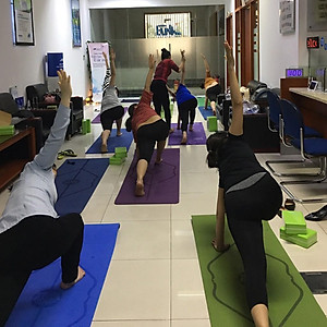 Thảm Tập Yoga Định Tuyến Chính Hãng miDoctor – Chọn Size - Thảm Yoga Định Tuyến Sắc Nét Cao Cấp Có Túi Dây