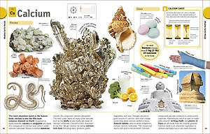 Sách The Periodic Table Book