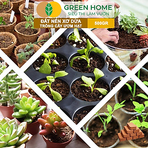 Đất Trồng Cây Greenhome, Viên Nén 500gr, Đã Qua Xử Lý, Bổ Sung Vi Sinh, Nở Gấp 5 Lần, Trồng Rau Hoa