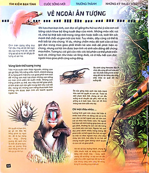 Tủ Sách Thế Giới Động Vật - Kết Đôi Và Sinh Sản (Hình Minh Họa 3D)