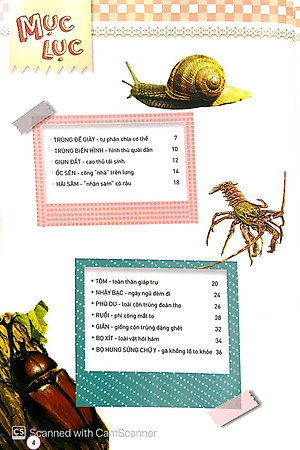 Sách Động Vật Kỳ Quặc