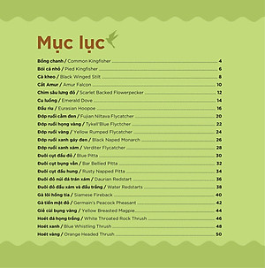 Những Cánh Chim Hoang Dã - 45 Loài Chim Đẹp Việt Nam