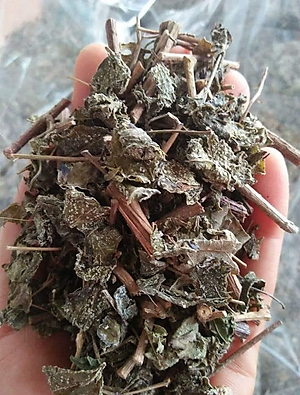 Chè dây (Trà dây) - Gói 1kg