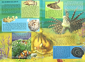 Sách Thế Giới Động Vật Kì Thú - Đại Dương Kì Bí