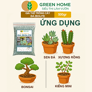 Đá Zeolite Greenhome, Bao 500GR, Giá Thể Trồng Bonsai, Xương Rồng, Đất Nền Hồ Thuỷ Sinh