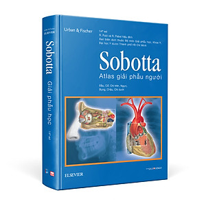Sobotta Atlas Giải phẫu người