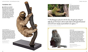 Sách Fantastic Beasts: The Wonder of Nature (Amazing Animals and the Magical Creatures of Harry Potter and Fantastic Beasts) (Paperback)