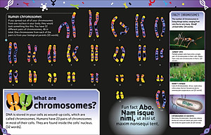 The Dna Book: Discover What Makes You You