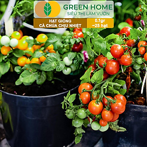 Hạt Giống Cà Chua Greenhome, Gói 0.1gr~25 hạt, Chịu Nhiệt, Trồng Chậu, Ra Nhiều Quả, Cây Sinh Trưởng Nhanh T15