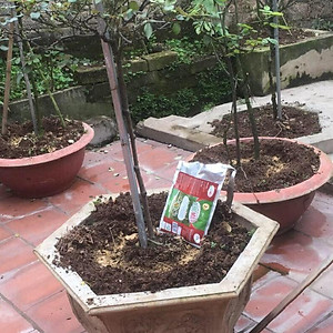 Chế phẩm sinh học    -  Chuyên cải tạo đất, thay thế phân hữu cơ, vô cơ, trị vàng lá thối rễ