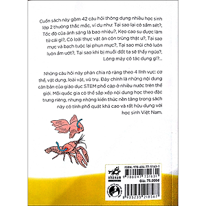 Sách Thủ Thỉ Kiến Thức Lớp 2