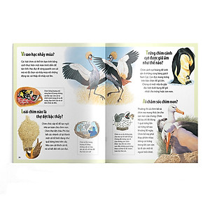 Sách Em muốn biết vì sao sâu bướm ăn nhiều và những câu hỏi khác về sự sống