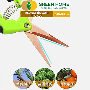 Kéo Cắt Cành GreenHome, D16,5xR4,5cm, Inox, Mũi Nhọn, Siêu Bén, Không Gỉ, Có Khoá An Toàn, Nhiều Màu Lựa Chọn