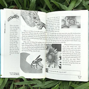 Sách 10 Vạn Điều Lý Thú Về Động Vật - Những Loài Ngộ Nghĩnh