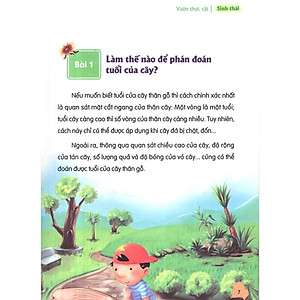 Sách: Thư Viện Tri Thức Dành Cho Học Sinh (  4 Cuốn)