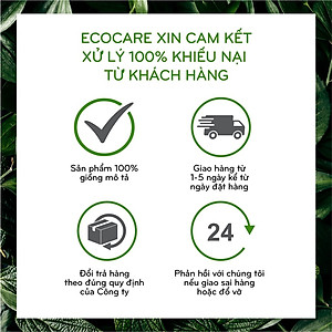 Nước tẩy rửa bồn cầu hữu cơ Ecocare 1L làm sạch, diệt khuẩn, khử mùi hiệu quả với tinh dầu Sả chanh/Quế