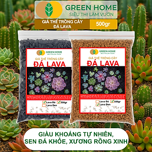 Đá Nham Thạch Lava GreenHome, Bao 500GR, Giá Thể Cho Thủy Sinh, Bonsai, Xương Rồng Màu Đỏ, Đen, Sạch Bụi