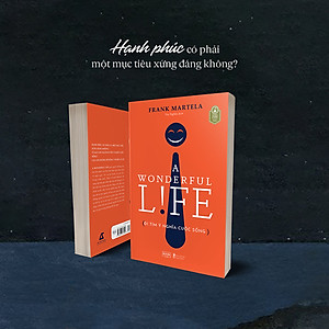 Sách A Wonderful Life Đi Tìm Ý Nghĩa Cuộc Sống