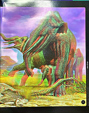 Sách 3D: Những Loài Thú Lớn Họ Mèo