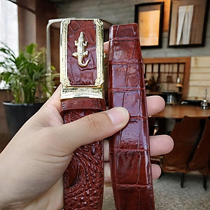 Thắt lưng da cá sấu LIỀN NGUYÊN TẤM. Không có vảy rất dễ sử dụng